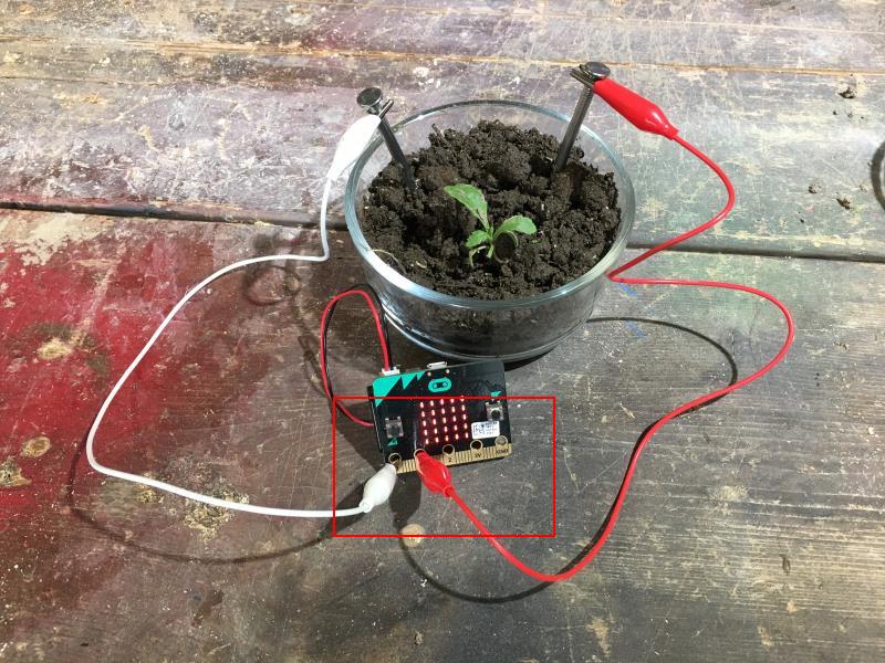 /gitea/c_meyer/pxt-calliope/raw/commit/8a0c892c0ff964aba2aab461bb6e45ba4cd689a2/docs/static/mb/projects/soil-moisture/nailsp1.jpg