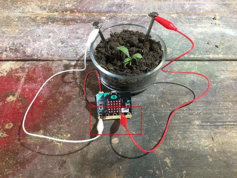 /gitea/c_meyer/pxt-calliope/raw/commit/d2616a0aedf12acf55adb557baa30d855ee20b83/docs/static/mb/projects/soil-moisture/nailsv3.jpg