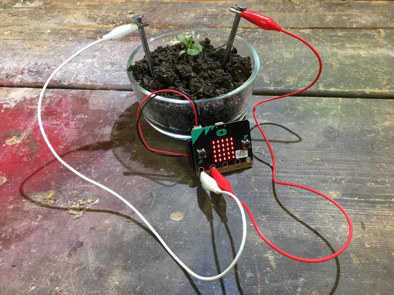 /gitea/c_meyer/pxt-calliope/raw/commit/d2616a0aedf12acf55adb557baa30d855ee20b83/docs/static/mb/projects/soil-moisture/soil-moisture.jpg